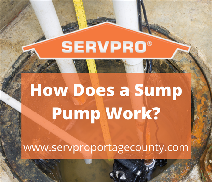 Sump pump in a concrete floor - How Does a Sump Pump Work? - www.servproportagecounty.com